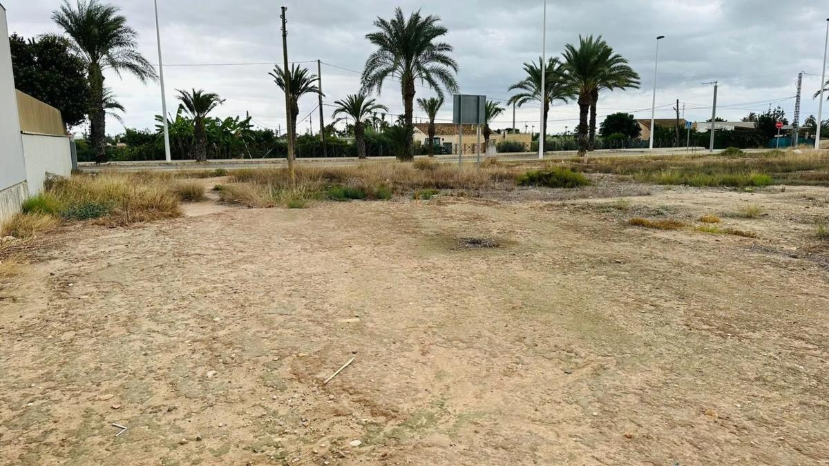 Działka na sprzedaż w Elche / Elx, Alicante photo 3