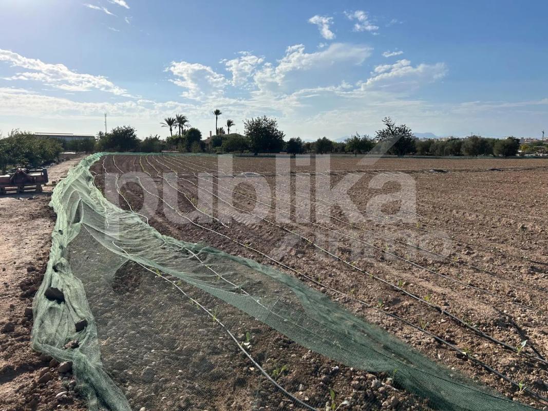 Terreno en venta en Elche / Elx, Alicante photo 2