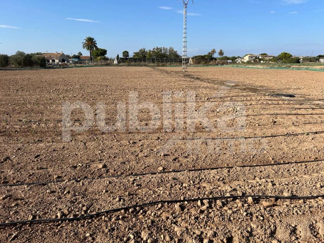 Działka na sprzedaż w Elche / Elx, Alicante photo 3