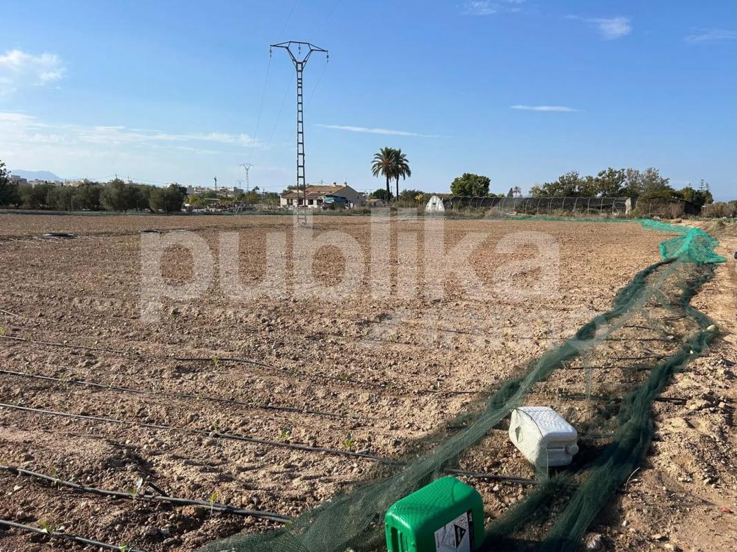 Działka na sprzedaż w Elche / Elx, Alicante photo 5