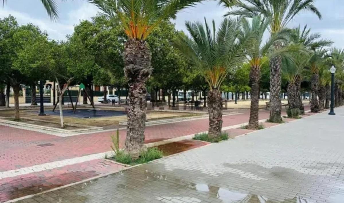 Terreno en venta en Elche / Elx, Alicante photo 2