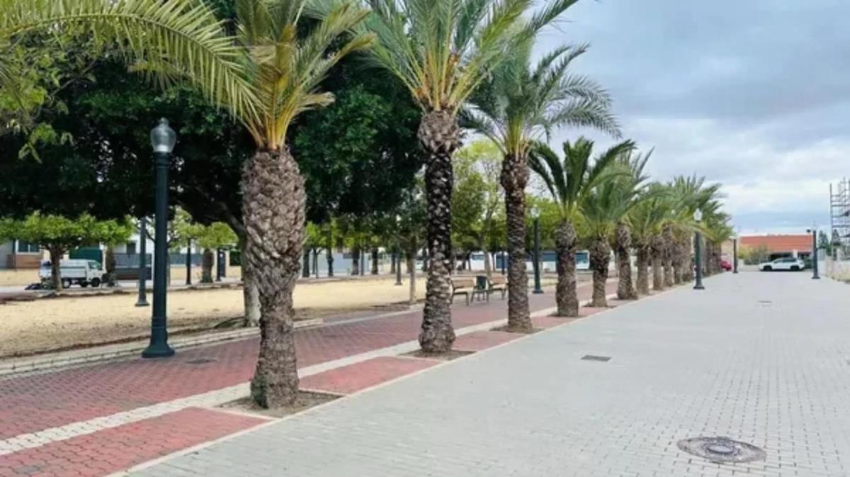 Terreno en venta en Elche / Elx, Alicante photo 4
