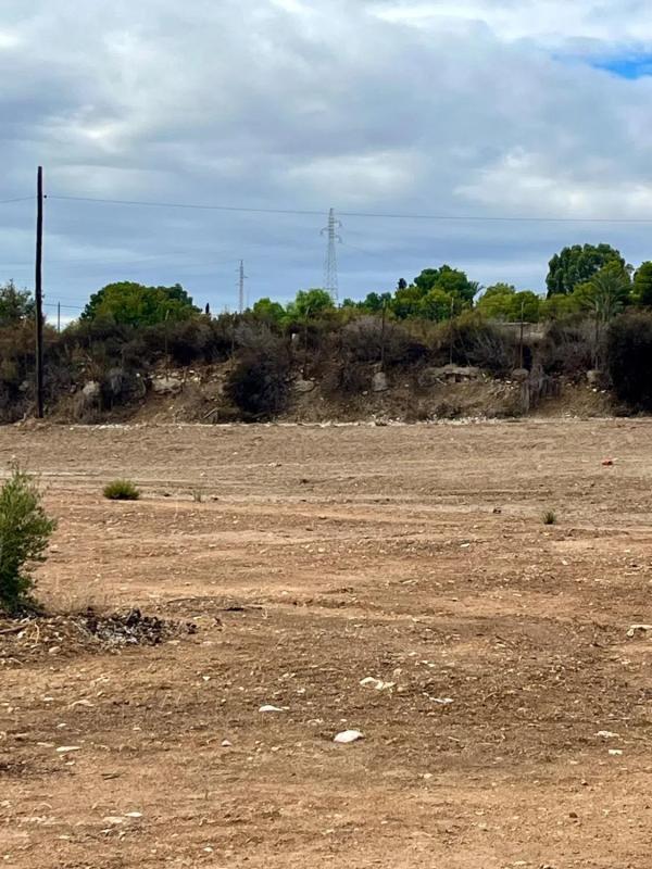 Działka na sprzedaż w Elche / Elx, Alicante photo 5