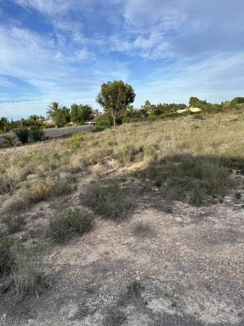 Terreno en Valverde photo 3