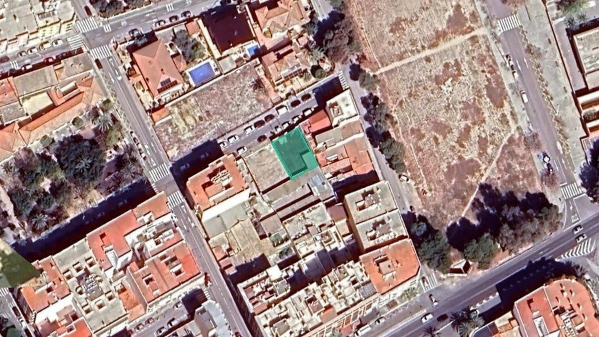 Działka na sprzedaż w Elche / Elx, Alicante photo 2