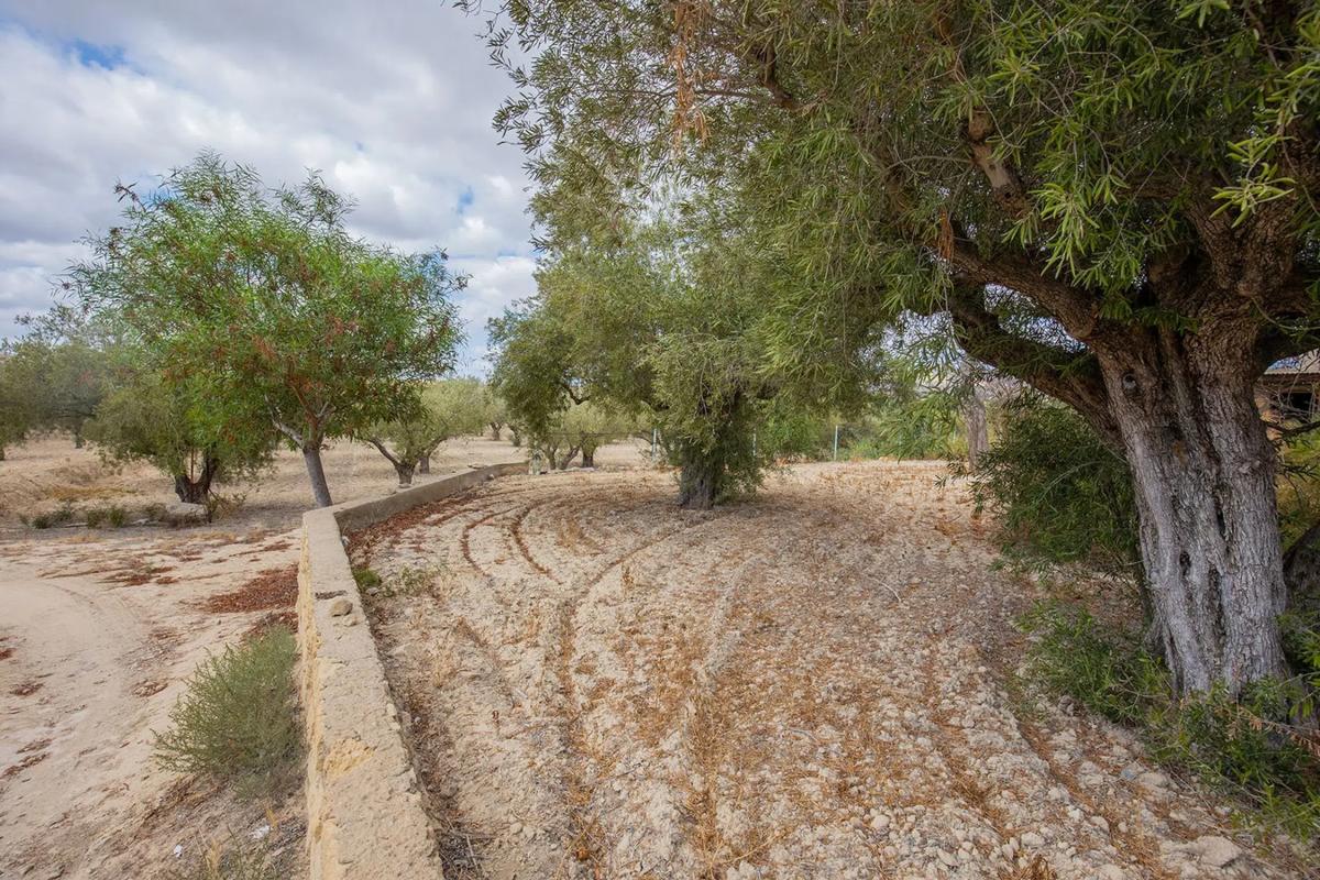 Terreno en venta en Elche / Elx, Alicante photo 1