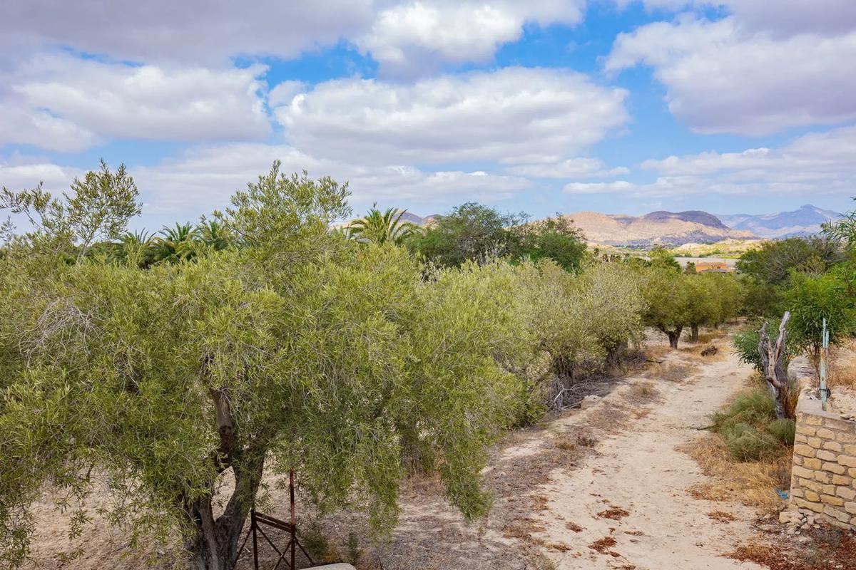 Terreno en venta en Elche / Elx, Alicante photo 2