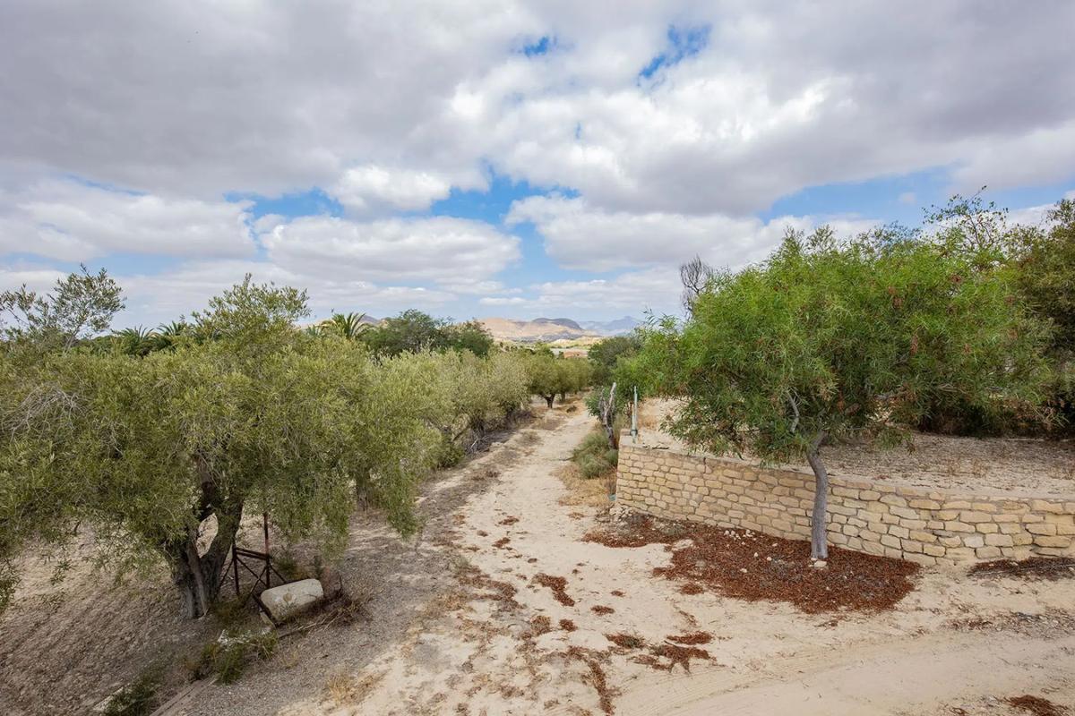 Terreno en venta en Elche / Elx, Alicante photo 3