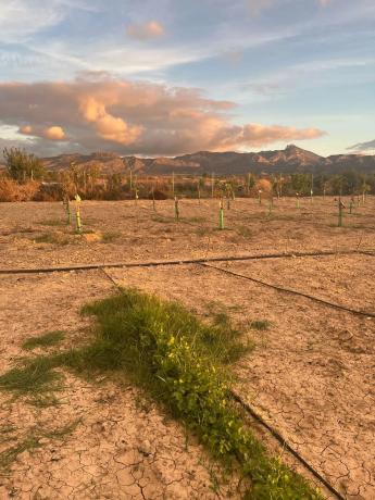 Terreno en Agost, 27 photo 1