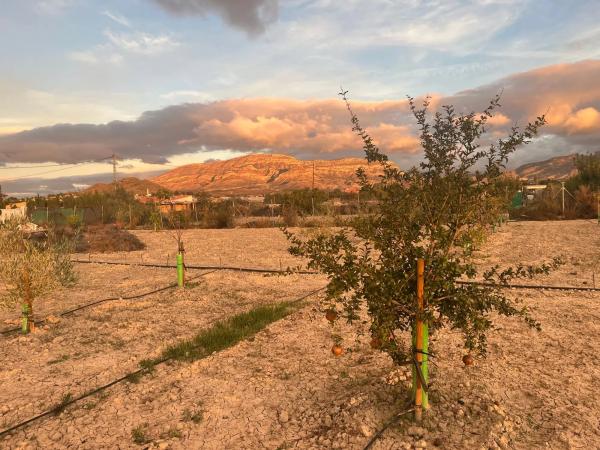 Terreno en Agost, 27 photo 2