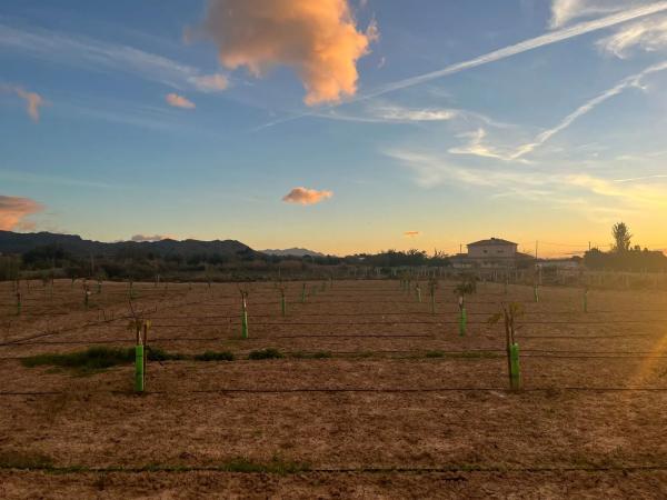 Terreno en Agost, 27 photo 4