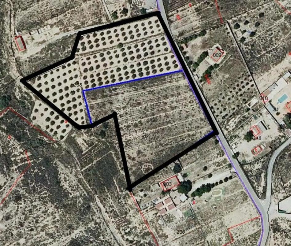 Land for sale in Alicante, Alicante photo 2