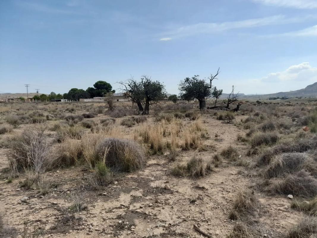 Land for sale in Alicante, Alicante photo 5
