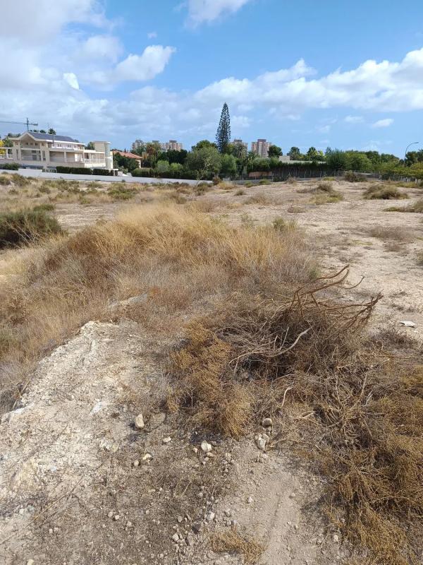 Działka na sprzedaż w Alicante / Alacant, Alicante photo 3