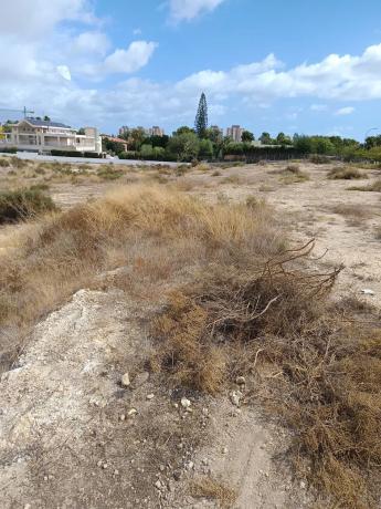Terreno en calle del Eucalipto photo 3