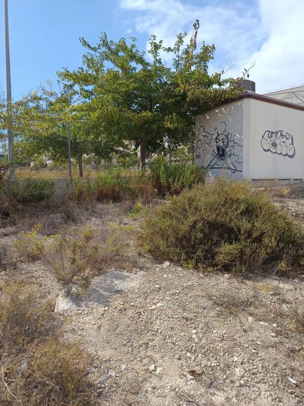 Działka na sprzedaż w Alicante / Alacant, Alicante photo 4