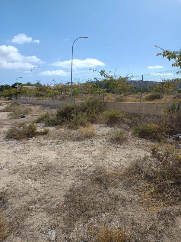 Działka na sprzedaż w Alicante / Alacant, Alicante photo 5