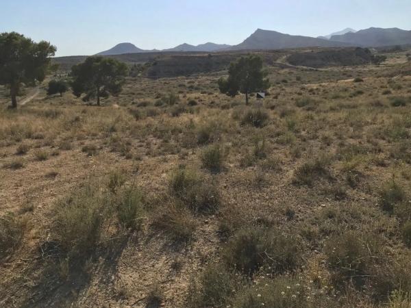 Terreno en calle Cala Blanca, 26 photo 2