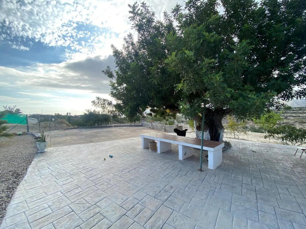 Terreno en venta en Busot, Alicante photo 3