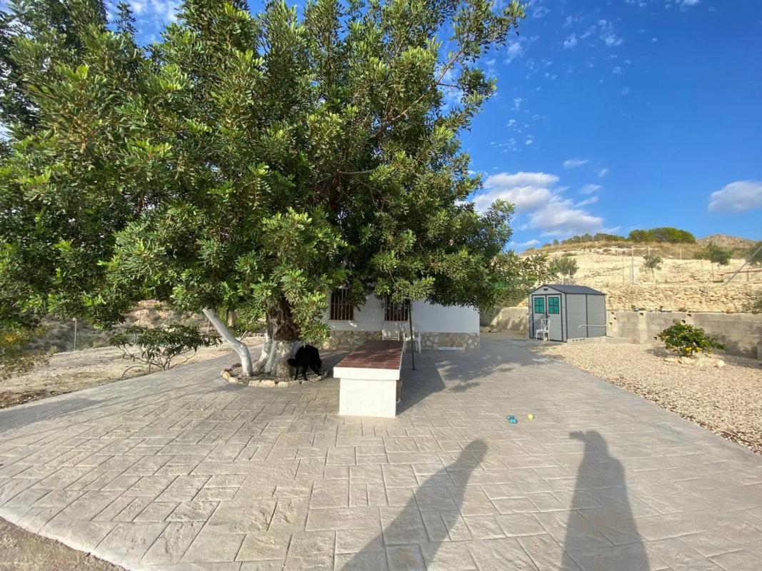 Terreno en venta en Busot, Alicante photo 5