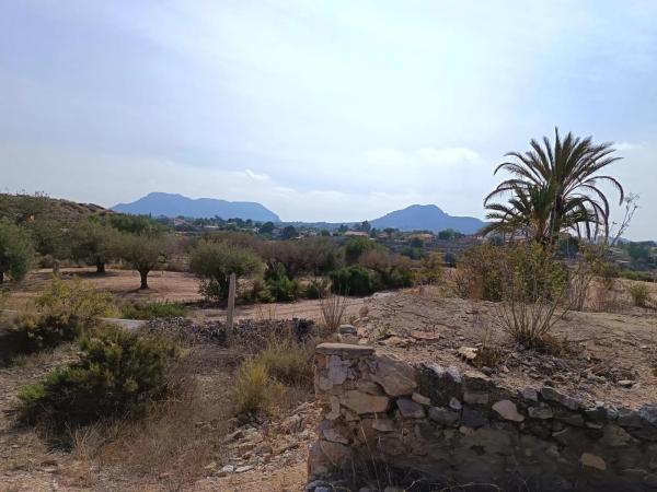 Terreno en Cañada del Fenollar thumbnail 2