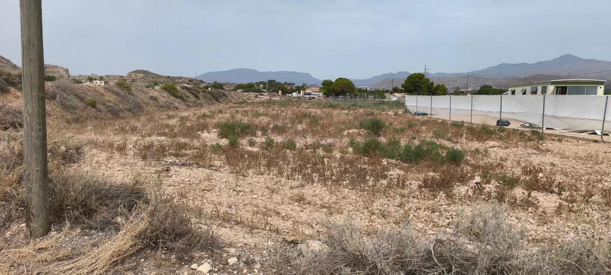 Land for sale in Fenollar Canyon, Alicante photo 4