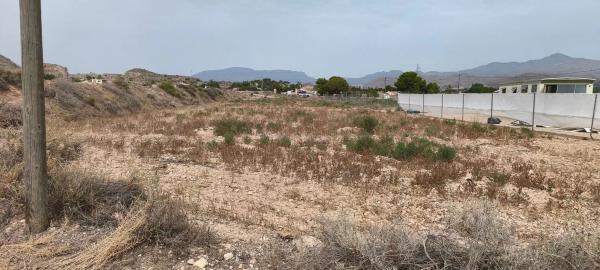 Terreno en carretera Alcoraya-Urbs s/n sn photo 4