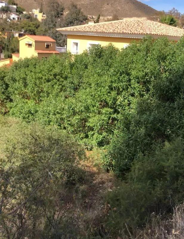 Land for sale in El Campello, Alicante photo 5
