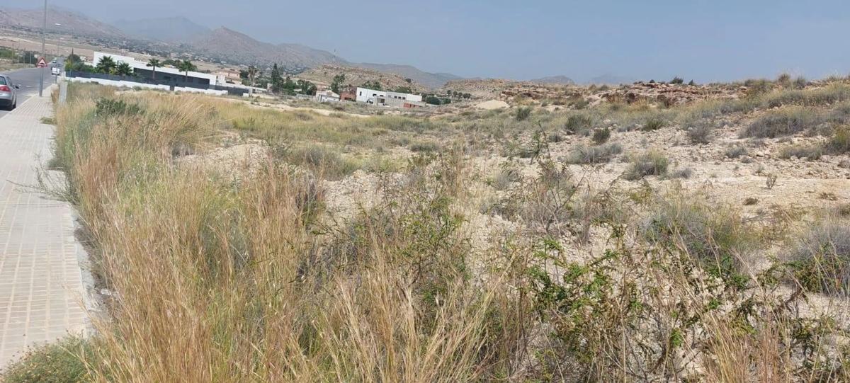 Terreno en venta en Mutxamel, Alicante photo 2