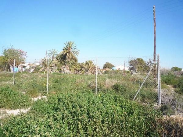 Terreno en Partida Benaut, 29 photo 2