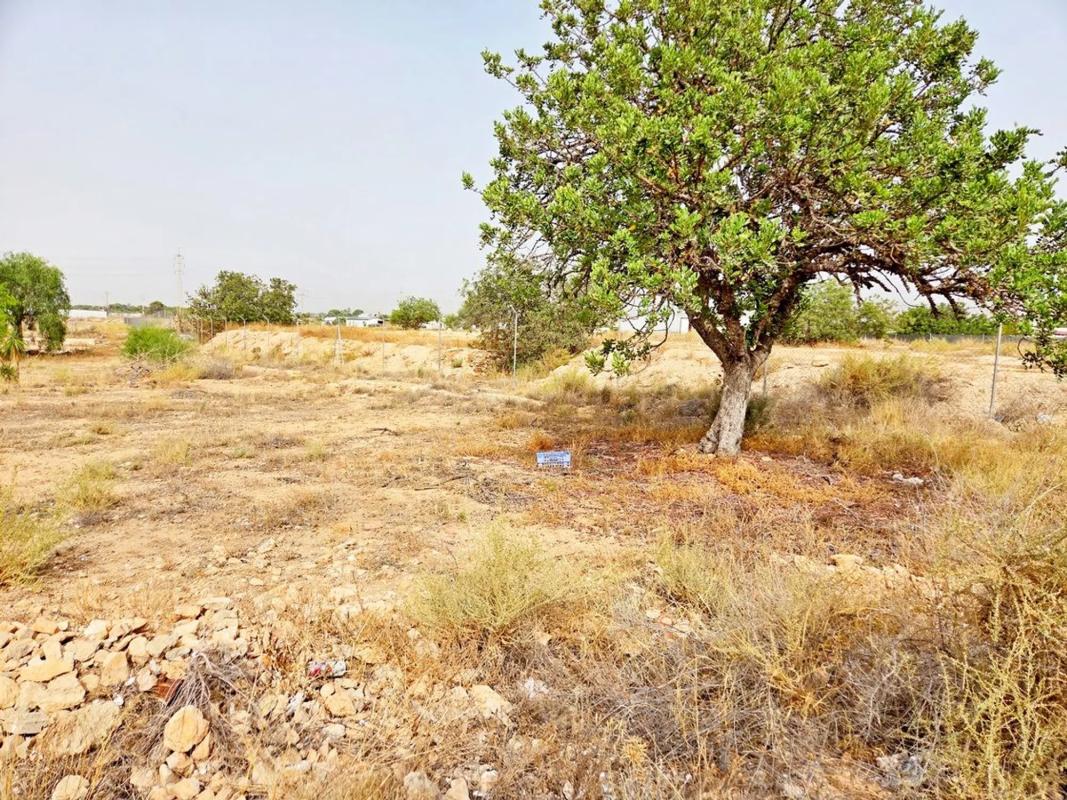 Terreno en venta en San Vicente del Raspeig, Alicante photo 2