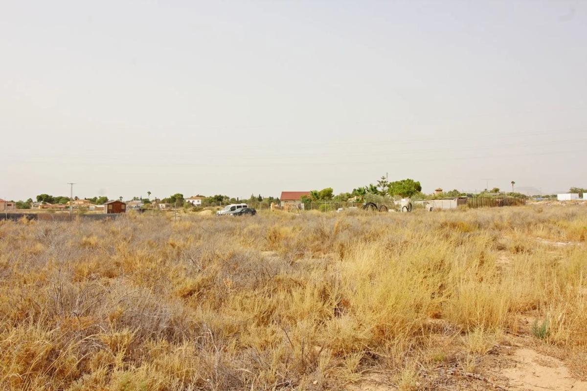 Terreno en venta en San Vicente del Raspeig, Alicante photo 5