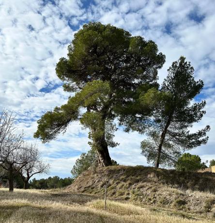 Terreno en calle Barranc De Horta s/n photo 1