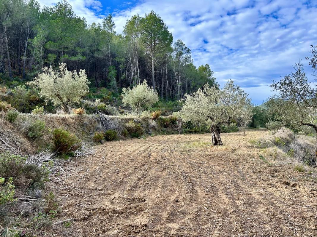 Terreno en venta en Torremanzanas, Alicante photo 3
