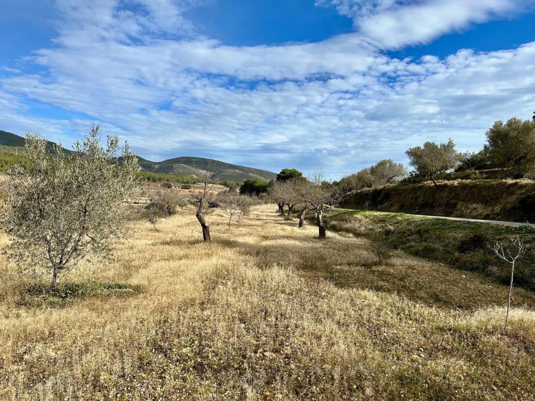 Terreno en venta en Torremanzanas, Alicante photo 5