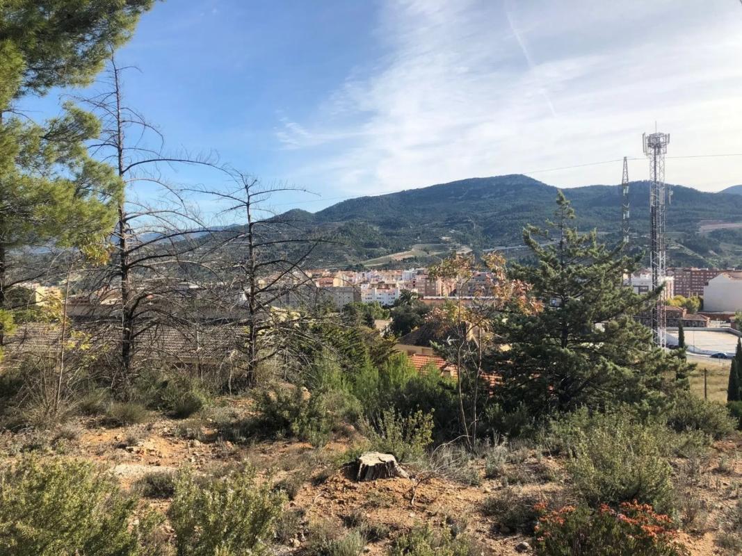 Land for sale in Alcoy, Alicante photo 5