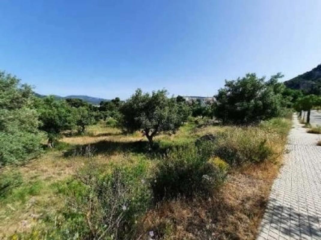 Terreno en venta en Alcoy / Alcoi, Alicante photo 2