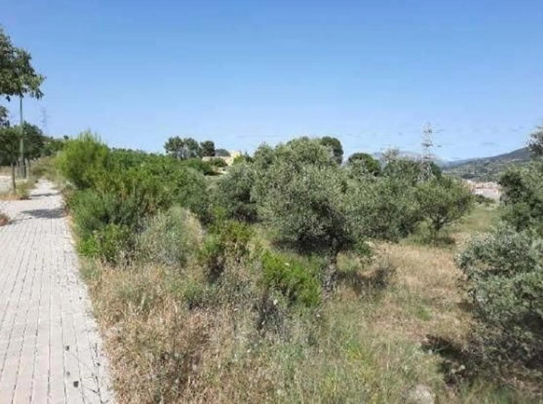 Terreno en venta en Alcoy / Alcoi, Alicante photo 5