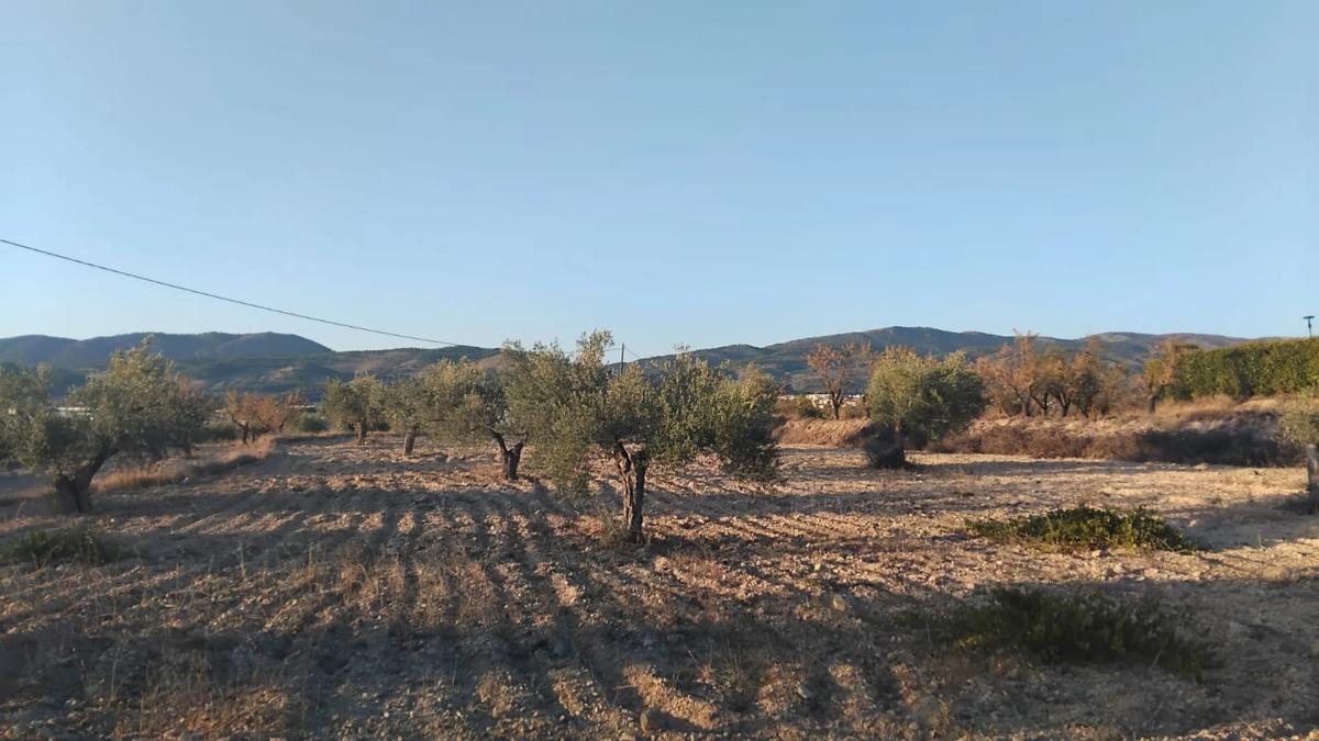 Działka na sprzedaż w Ibi, Alicante photo 1