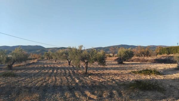 Terreno en Partida Plans photo 1