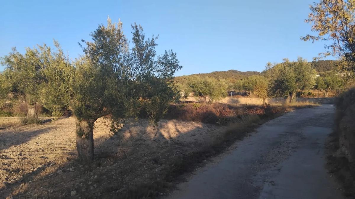 Działka na sprzedaż w Ibi, Alicante photo 2