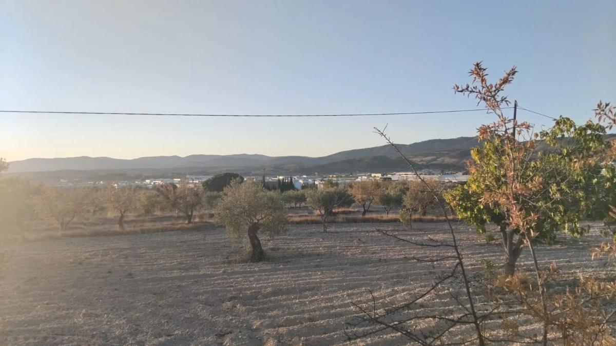 Działka na sprzedaż w Ibi, Alicante photo 3