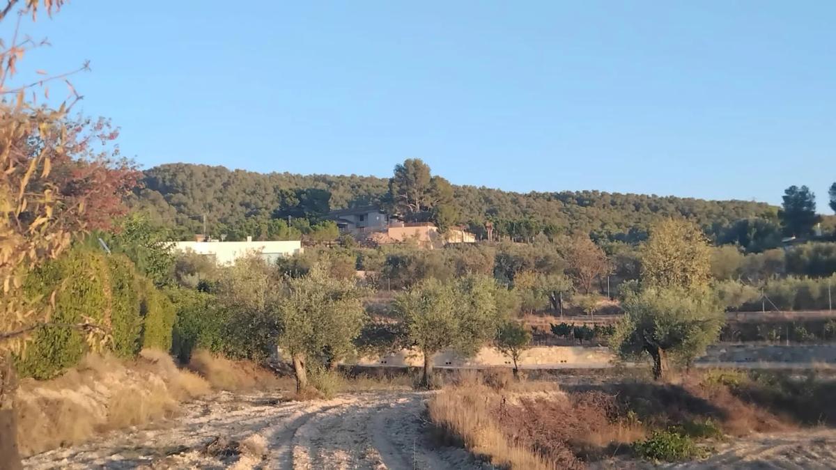 Działka na sprzedaż w Ibi, Alicante photo 4
