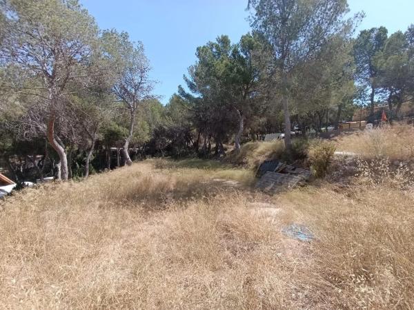 Terreno en Tibi photo 2