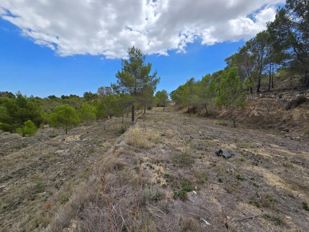 Terreno en venta en Banyeres de Mariola, Alicante photo 2