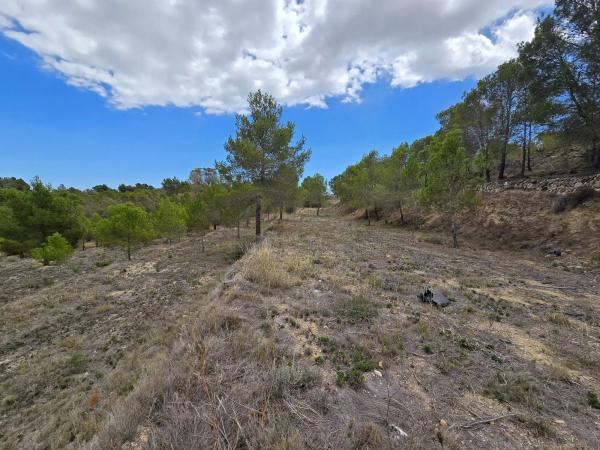 Terreno en calle Carrasquetes photo 2