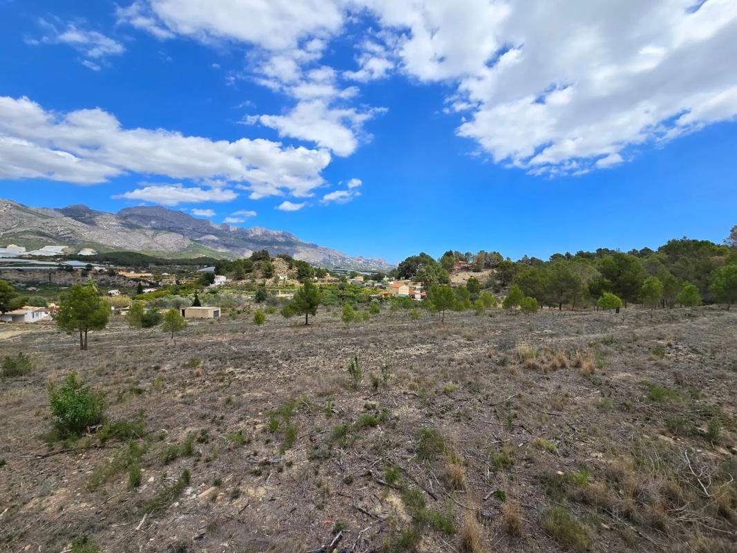Terreno en venta en Banyeres de Mariola, Alicante photo 3