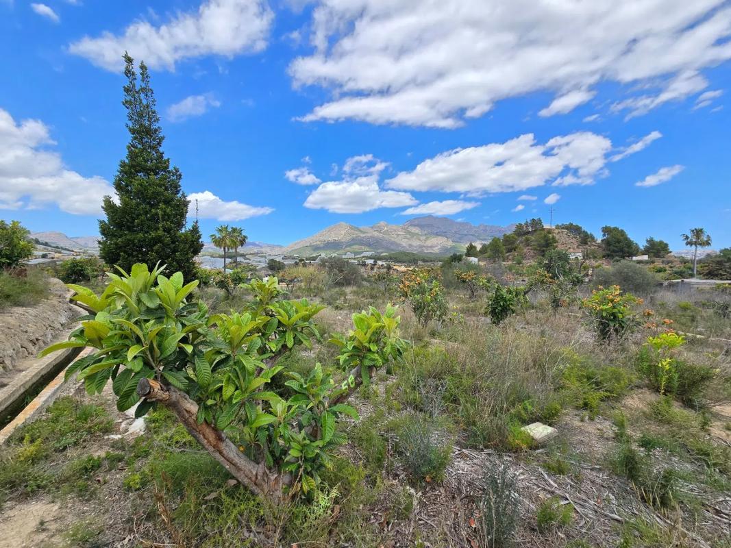 Terreno en venta en Banyeres de Mariola, Alicante photo 4