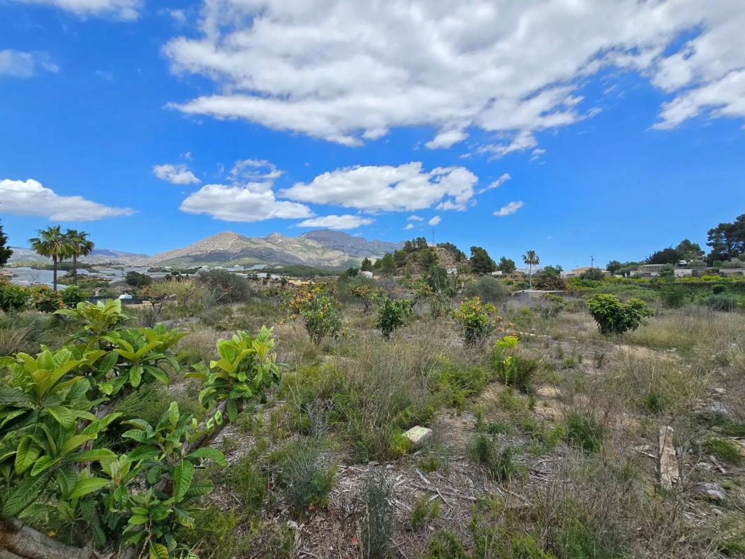 Terreno en venta en Banyeres de Mariola, Alicante photo 5
