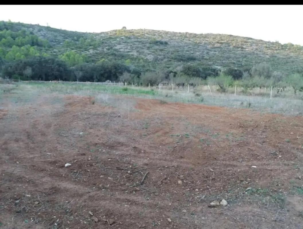 Terreno en venta en Alcalalí, Alicante photo 3